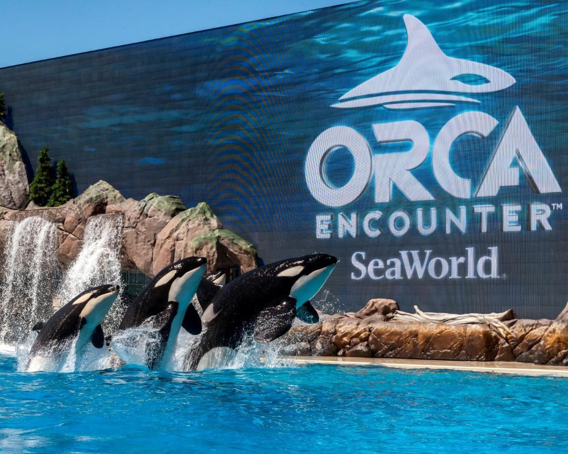 Travelodge By Wyndham San Diego Seaworld Ngoại thất bức ảnh